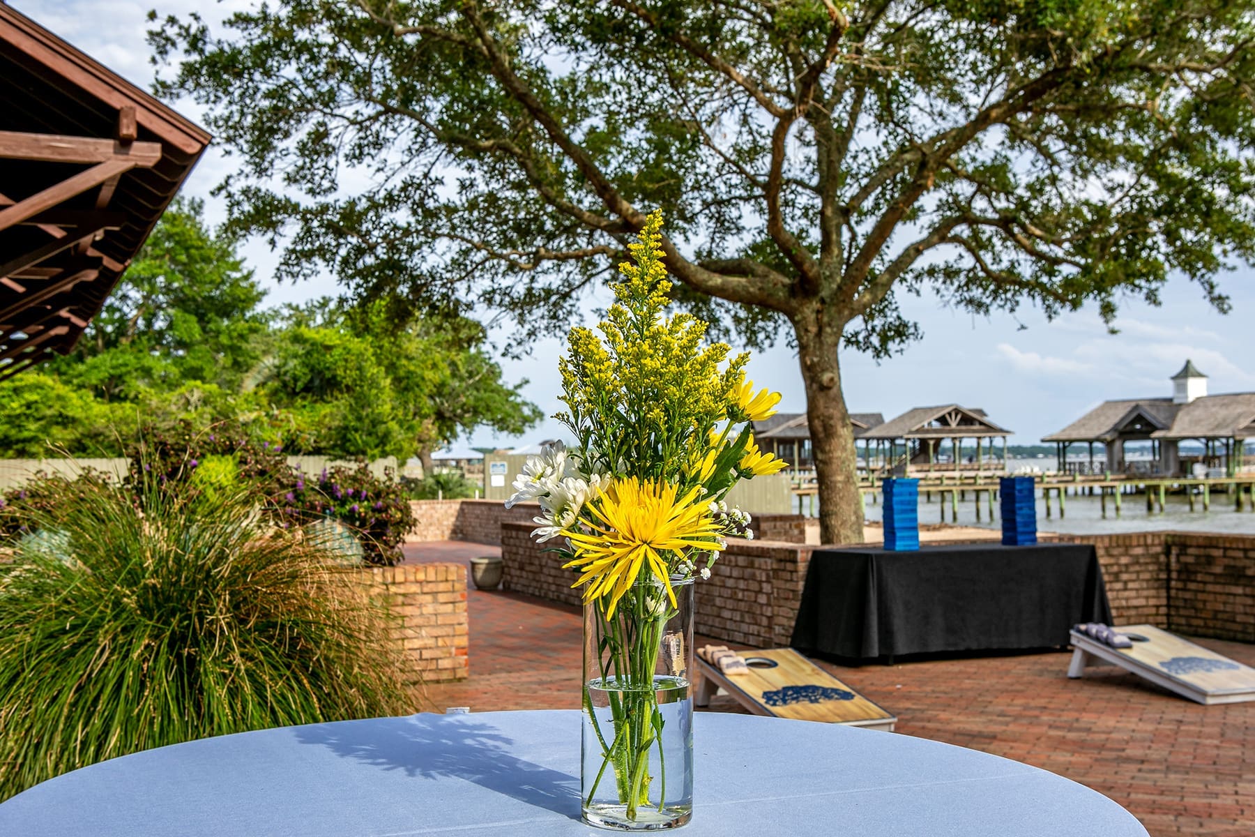 A Look Inside the Wellness Summit: What Attendees Expect